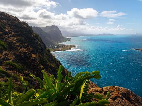 Oahu & Island of Hawaii